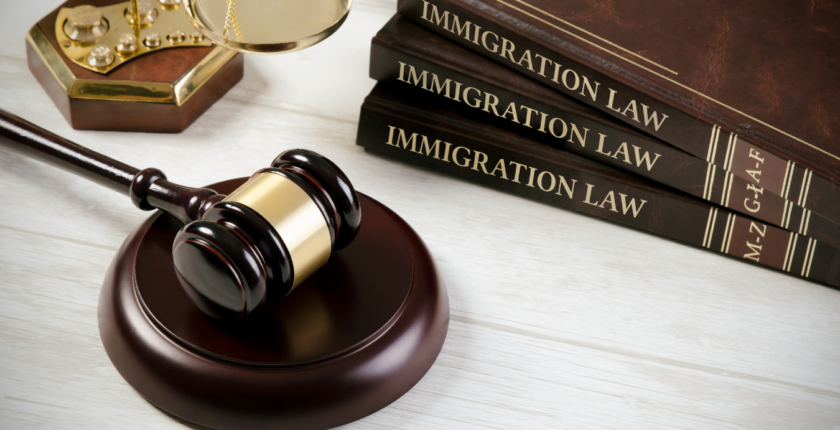 Immigration Law - Discover 7+ Little-Known Insights Image