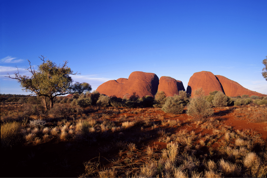 Exploring Australia'S 30+ Most Popular Destinations: A Traveler'S Guide 14