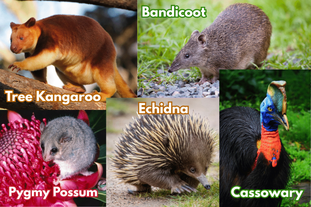 Exploring Australia'S 30+ Most Popular Destinations: A Traveler'S Guide 3