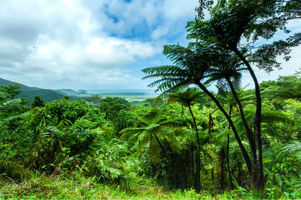 Exploring Australia'S 30+ Most Popular Destinations: A Traveler'S Guide 4